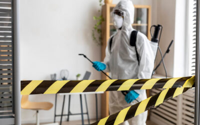 What a Professional, IICRC-Certified Mold Remediation Looks Like — Start to Finish