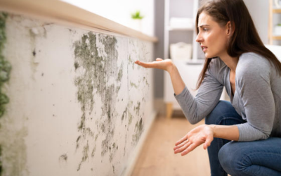 Selling a Home with Mold: Fix It Before the Home Inspection (KC Seller’s Playbook)