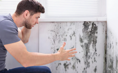 Smell Mold but Can’t See It? How Pros Find Hidden Growth